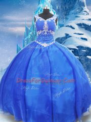 Ball Gowns 15th Birthday Dress Blue V-neck Organza Sleeveless Floor Length Zipper