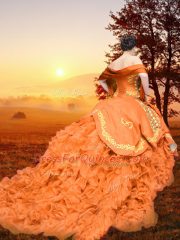 Sweetheart Sleeveless Brush Train Lace Up Sweet 16 Dresses Rust Red Organza