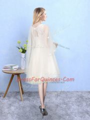 Inexpensive Half Sleeves Lace Lace Up Dama Dress for Quinceanera