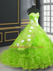 Great Sweetheart Lace Up Embroidery 15 Quinceanera Dress Brush Train Sleeveless