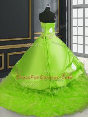 Great Sweetheart Lace Up Embroidery 15 Quinceanera Dress Brush Train Sleeveless