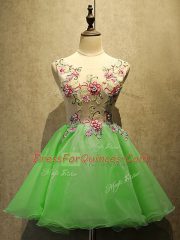 Colorful Sleeveless Organza Mini Length Lace Up Homecoming Dress in with Embroidery