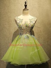Yellow Green Organza Lace Up Dress for Prom Sleeveless Mini Length Embroidery