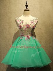 Enchanting Organza Sleeveless Mini Length Prom Gown and Appliques