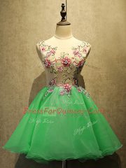 Best Green A-line Embroidery Prom Dress Lace Up Organza Sleeveless Mini Length