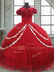 Fabulous Sleeveless Brush Train Lace Up Appliques and Pick Ups Ball Gown Prom Dress