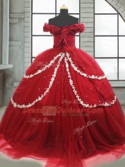 Fabulous Sleeveless Brush Train Lace Up Appliques and Pick Ups Ball Gown Prom Dress