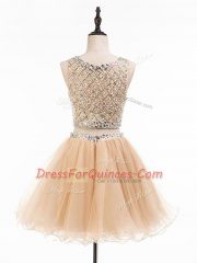 High Quality Mini Length Champagne Prom Evening Gown Scoop Sleeveless Side Zipper