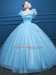 Appliques Sweet 16 Quinceanera Dress Baby Blue Zipper Sleeveless Floor Length