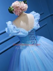 Appliques Sweet 16 Quinceanera Dress Baby Blue Zipper Sleeveless Floor Length