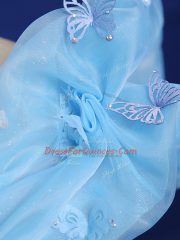 Appliques Sweet 16 Quinceanera Dress Baby Blue Zipper Sleeveless Floor Length