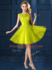 Beauteous Yellow Lace Up Bateau Lace and Appliques Damas Dress Tulle Cap Sleeves