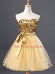 Gold Sleeveless Tulle Zipper Evening Dress for Prom and Party