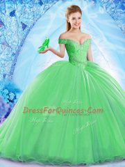 Organza Sleeveless Quinceanera Gown Brush Train and Beading