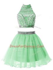 Sexy Apple Green Halter Top Zipper Beading Court Dresses for Sweet 16 Sleeveless