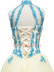 Modest Sleeveless Lace Up Floor Length Lace and Appliques Prom Evening Gown