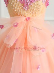 Lovely Ball Gowns 15th Birthday Dress Peach Sweetheart Organza Sleeveless Floor Length Lace Up