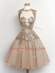Fabulous Chiffon High-neck Sleeveless Lace Up Lace Quinceanera Court of Honor Dress in Brown