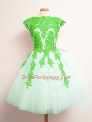 Custom Designed Multi-color Scalloped Lace Up Appliques Dama Dress for Quinceanera Sleeveless