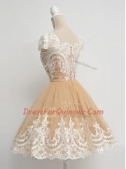 Ideal Square Cap Sleeves Quinceanera Court Dresses Knee Length Lace Apple Green Tulle