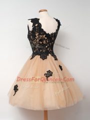 Captivating Tulle Sleeveless Knee Length Quinceanera Court Dresses and Lace