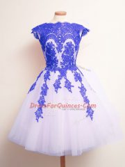 Cheap Tulle Scalloped Sleeveless Lace Up Appliques Damas Dress in Blue And White