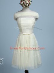Light Yellow Tulle Side Zipper Dama Dress for Quinceanera Sleeveless Mini Length Belt