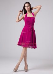 Sleeveless Zipper Knee Length Ruching Dress for Prom