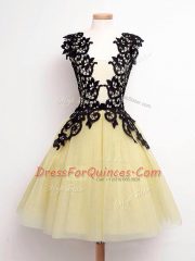 Modern Tulle Straps Sleeveless Lace Up Lace Dama Dress for Quinceanera in Gold