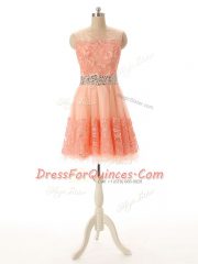 Fancy Sleeveless Beading and Lace and Appliques Zipper Prom Party Dress