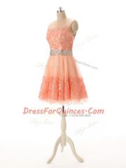 Fancy Sleeveless Beading and Lace and Appliques Zipper Prom Party Dress