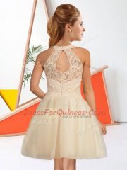 Dramatic Champagne A-line Halter Top Sleeveless Tulle Knee Length Zipper Lace Quinceanera Court Dresses