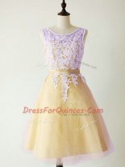 Classical Gold Sleeveless Tulle Lace Up Damas Dress for Prom and Party and Wedding Party