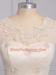 Hot Sale Appliques and Belt Quinceanera Court of Honor Dress Champagne Lace Up Sleeveless Mini Length