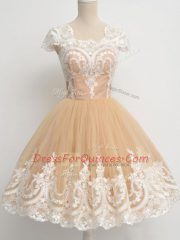 Exquisite Champagne Cap Sleeves Lace Knee Length Court Dresses for Sweet 16