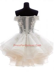 Custom Design Lavender Zipper Prom Evening Gown Lace and Appliques Sleeveless Mini Length