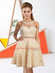 Flare Champagne Lace Zipper Quinceanera Court Dresses Sleeveless Knee Length Lace