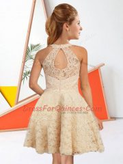 Flare Champagne Lace Zipper Quinceanera Court Dresses Sleeveless Knee Length Lace