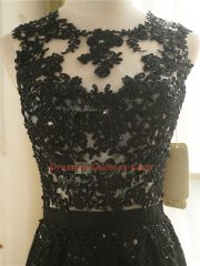Shining Floor Length Black Prom Evening Gown Tulle Sleeveless Lace and Appliques
