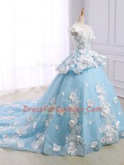 Light Blue Organza Lace Up Quinceanera Dresses Sleeveless Court Train Appliques