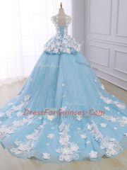 Light Blue Organza Lace Up Quinceanera Dresses Sleeveless Court Train Appliques