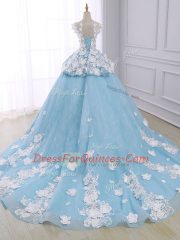 Light Blue Organza Lace Up Quinceanera Dresses Sleeveless Court Train Appliques