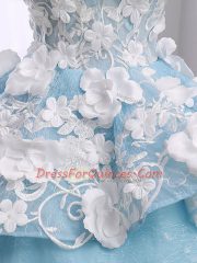 Light Blue Organza Lace Up Quinceanera Dresses Sleeveless Court Train Appliques