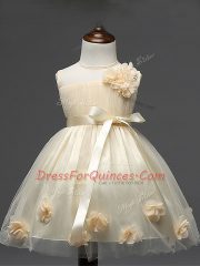 Scoop Sleeveless Zipper Flower Girl Dress Champagne Tulle