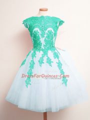 Lovely Sleeveless Tulle Mini Length Lace Up Quinceanera Court of Honor Dress in Multi-color with Appliques