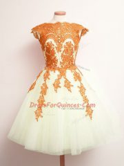 Sleeveless Lace Up Mini Length Appliques Court Dresses for Sweet 16