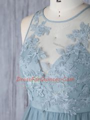 Wonderful Grey Sleeveless Floor Length Appliques Zipper Quinceanera Dama Dress
