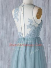 Wonderful Grey Sleeveless Floor Length Appliques Zipper Quinceanera Dama Dress