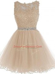 Wonderful Tulle Sleeveless Mini Length Dress for Prom and Beading and Lace and Appliques