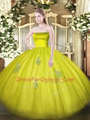 Sleeveless Appliques Zipper Sweet 16 Quinceanera Dress